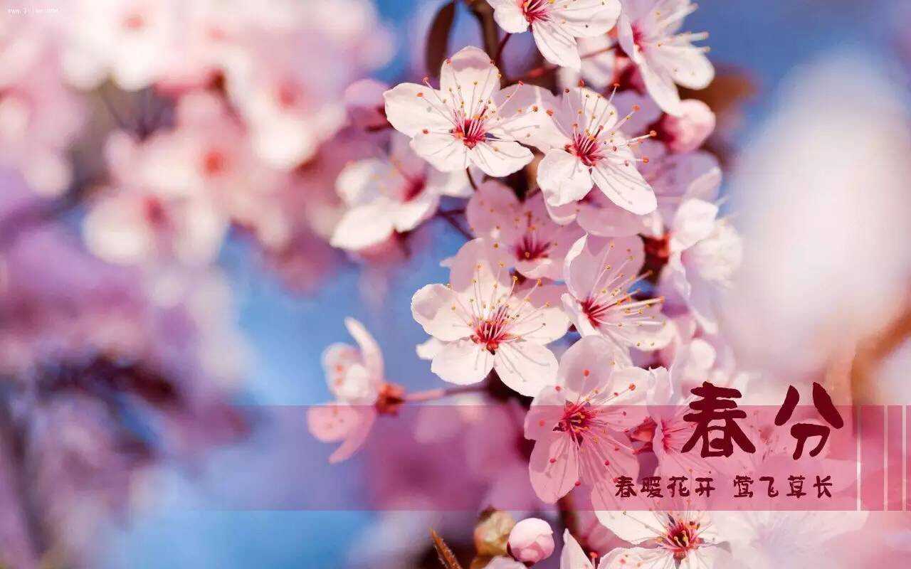 春分到，蛋兒俏!|春分立蛋，這么好玩的游戲，你get到了嗎？